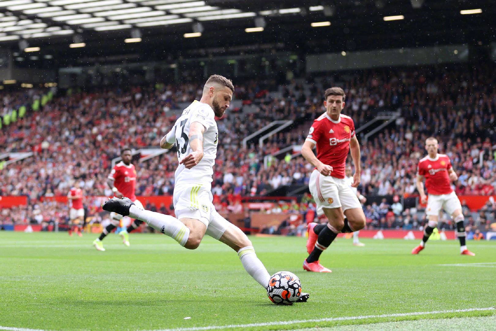 轻运动员树 轻运动员树